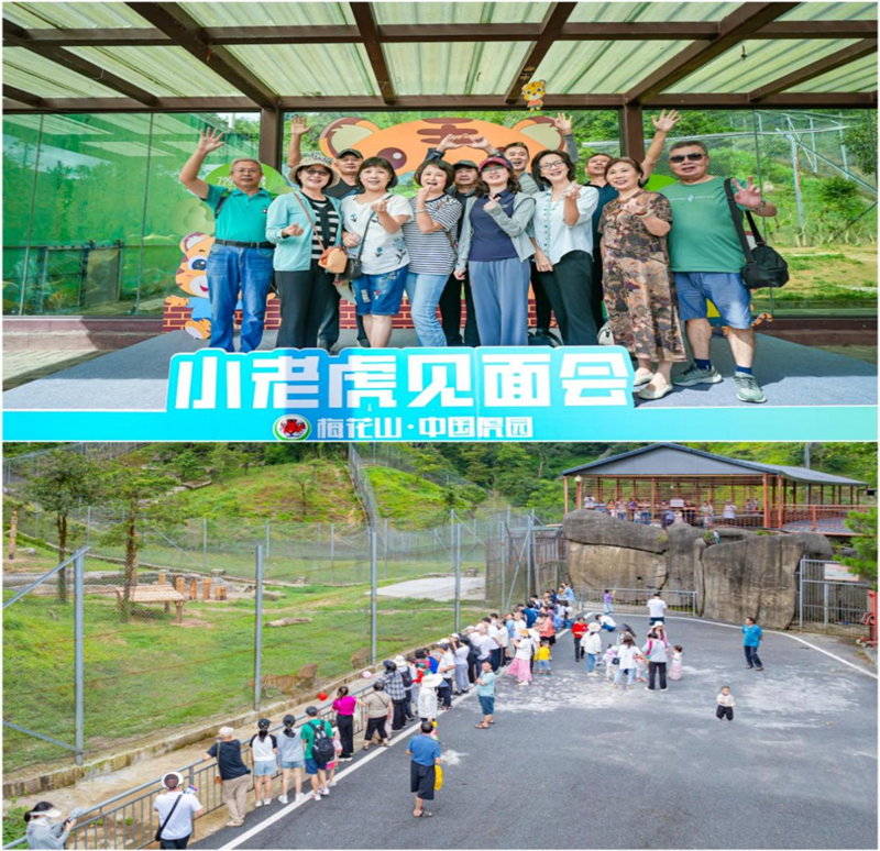 172232967469276864.png 图片3_副本.png